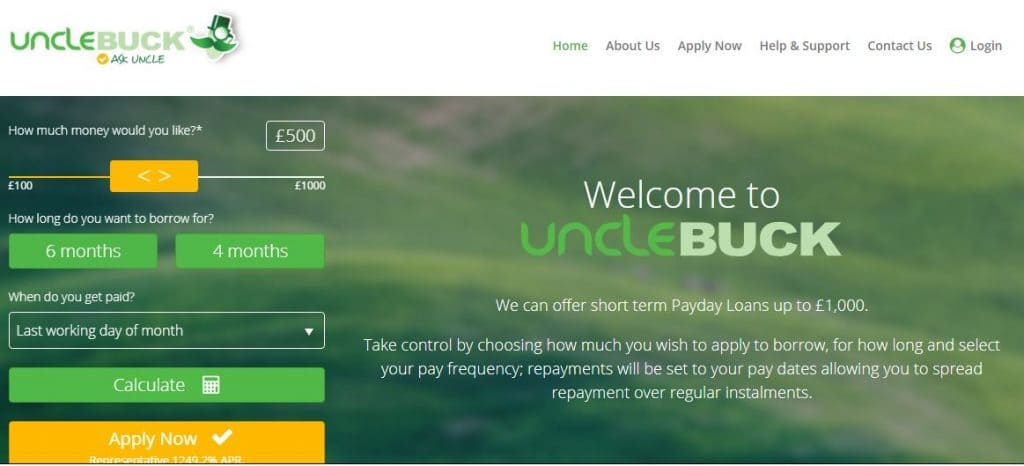 Screengrab of Uncle Buck loan website home page