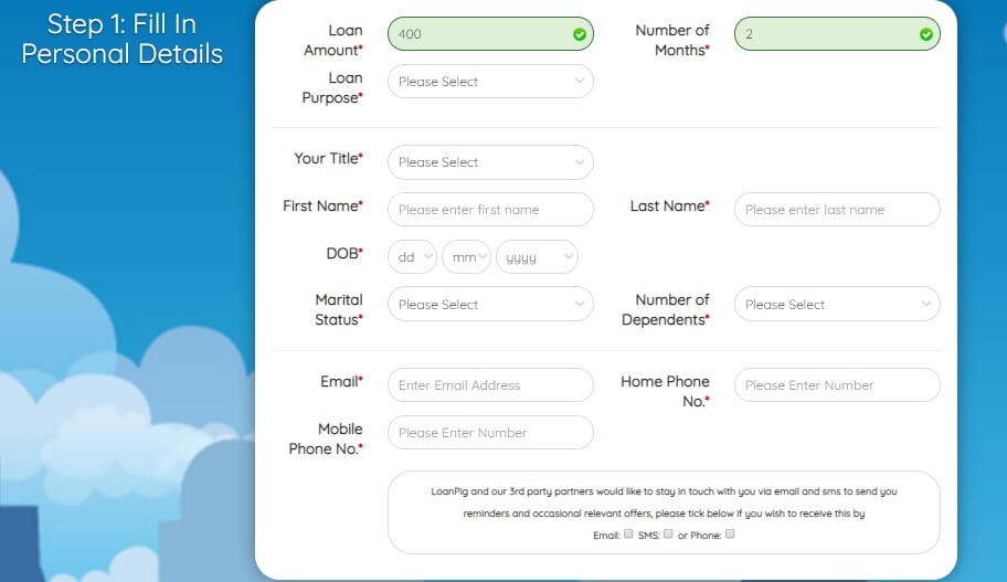 screengrab of LoanPig loan application page 