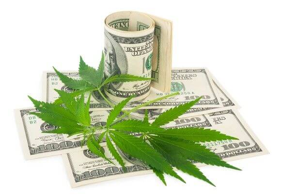 Investing In Marijuana Stocks...