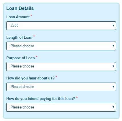 Wizzcash loan application page capturing loan details