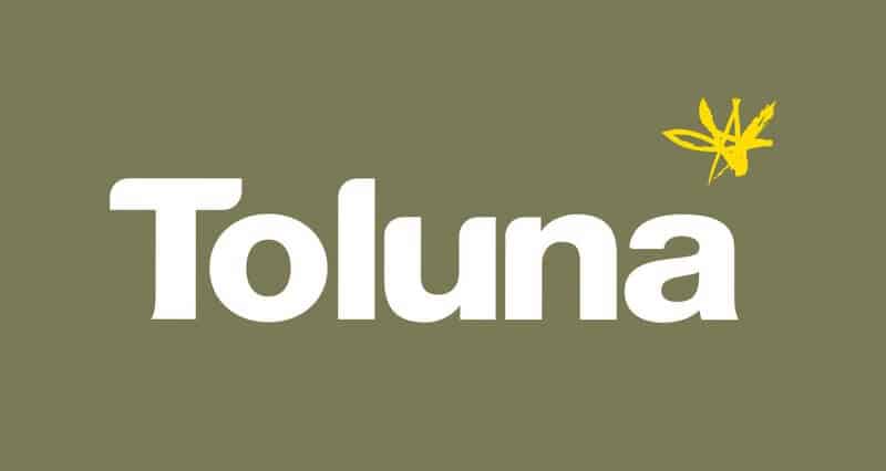 Toluna Review : Is...