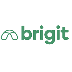 Brigit Loan App Review...