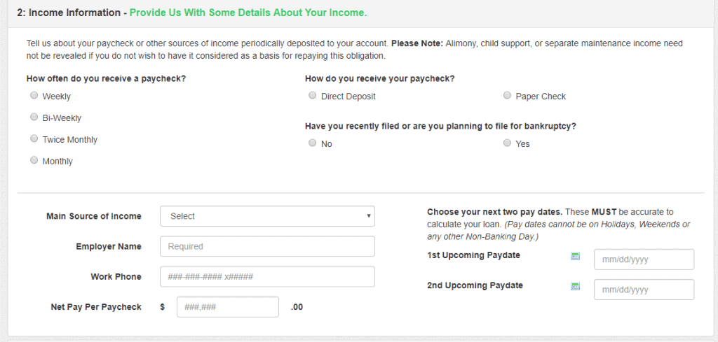 Screengrab of MAXLEND application page capturing borrower’s income details