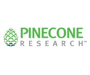 Pinecone Review - Is...