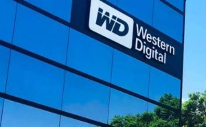 western digital stock