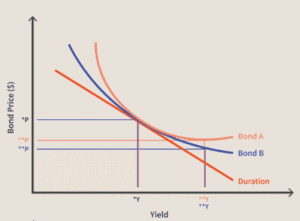 Bond Convexity: The Relationship...