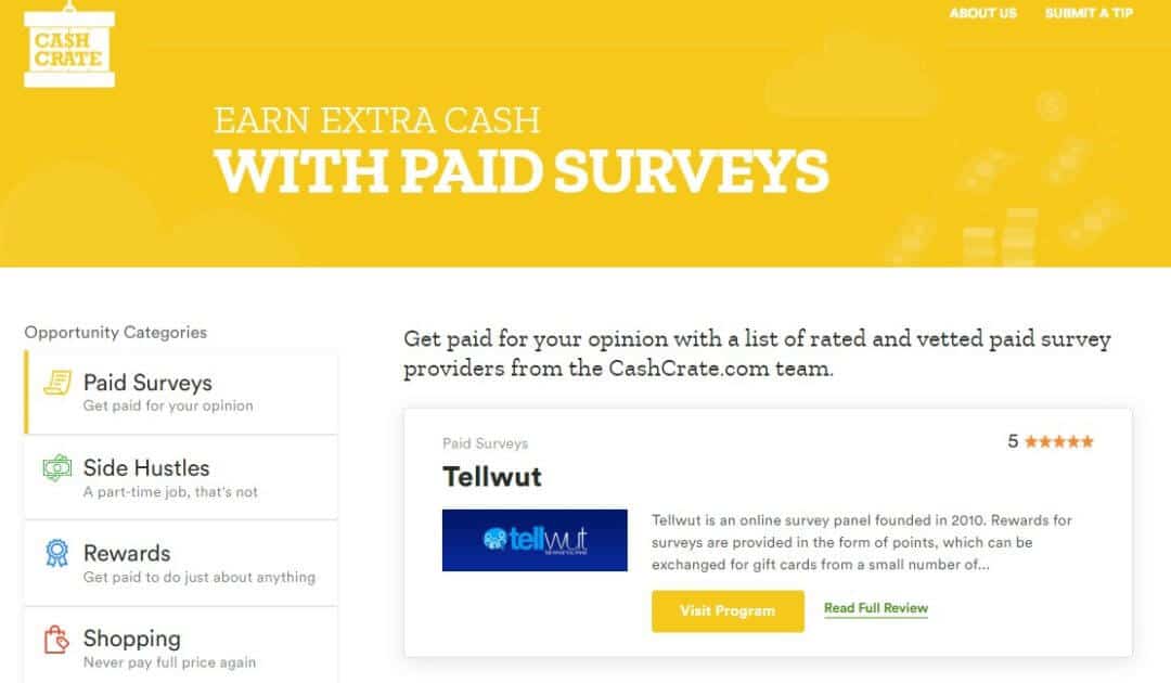 Types of surveys on CashCrate