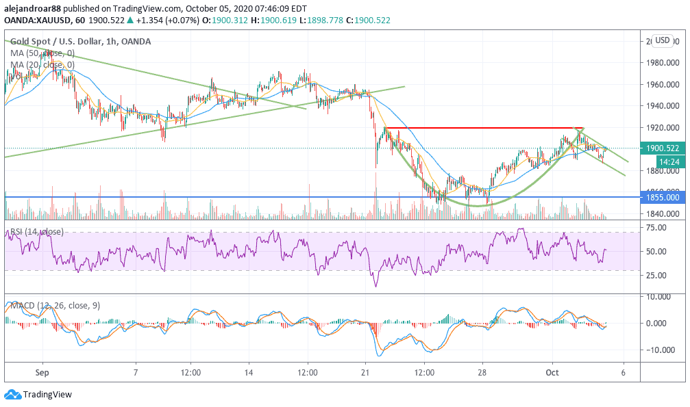 gold cup and handle