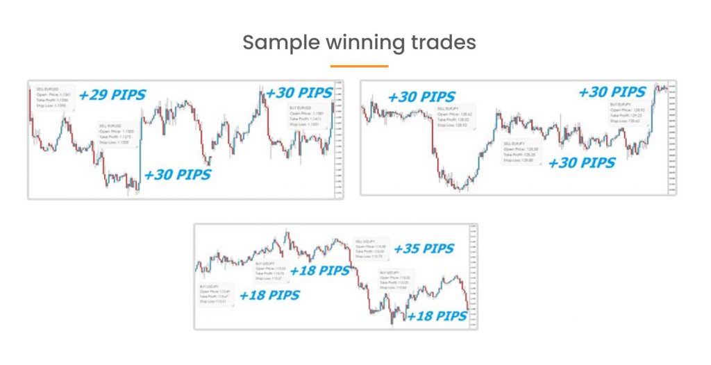 Best Forex Signal Telegram Group Free Forex Signals Telegram