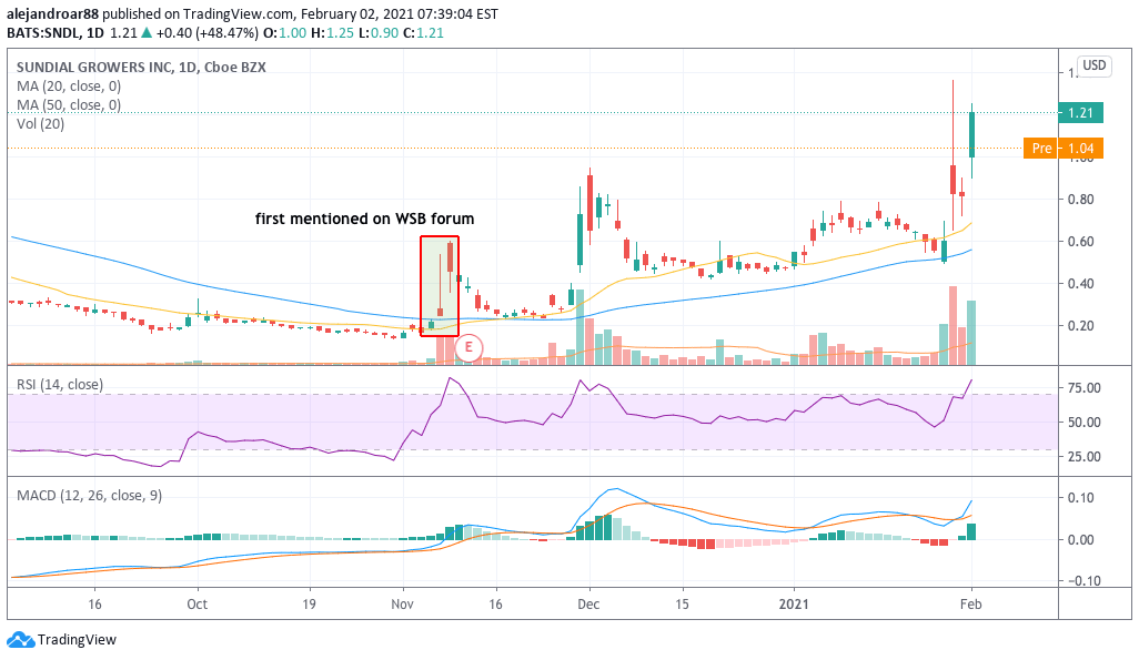 sundial growers shares