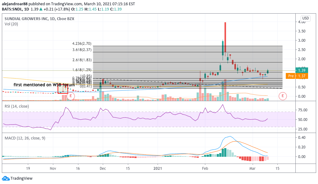 sundial growers shares 1