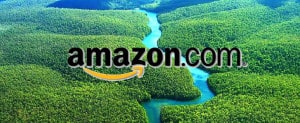 Amazon.com vs THE Amazon